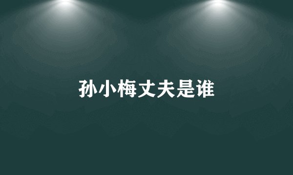 孙小梅丈夫是谁