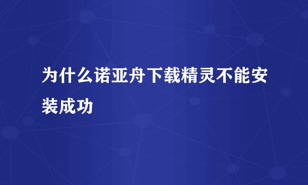 为什么诺亚舟下载精灵不能安装成功
