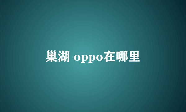 巢湖 oppo在哪里