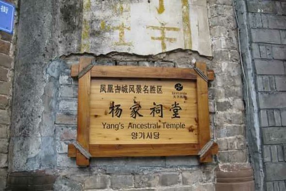 杨氏家谱字辈排行