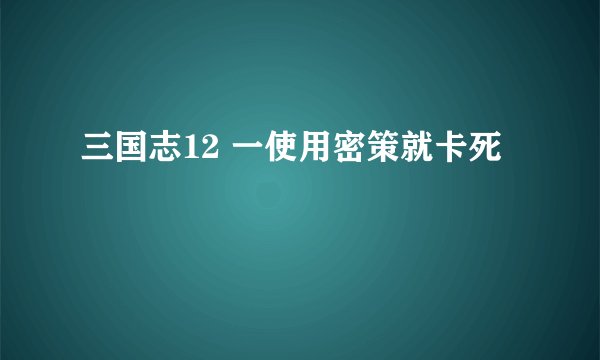三国志12 一使用密策就卡死