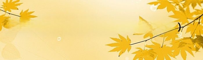 上海小伙大战洋马（上海小伙大战洋妞）