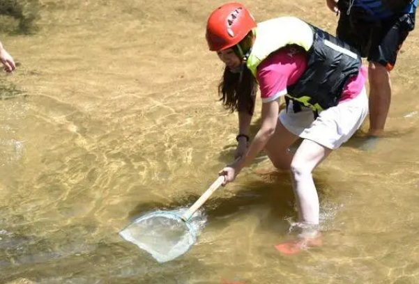 混水摸鱼的拼音