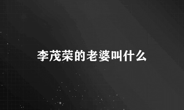 李茂荣的老婆叫什么