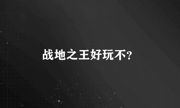 战地之王好玩不？
