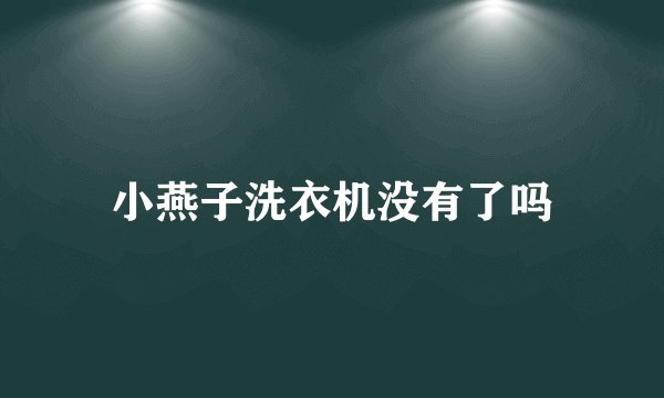 小燕子洗衣机没有了吗