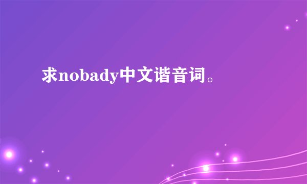 求nobady中文谐音词。
