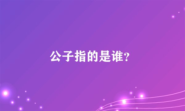公子指的是谁？