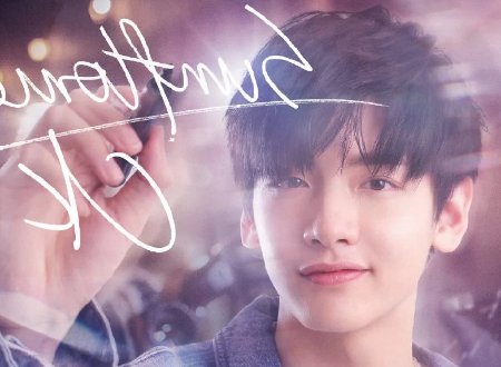 《你微笑时好美》演员有哪些?