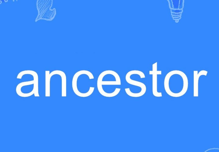 ancestors怎么读