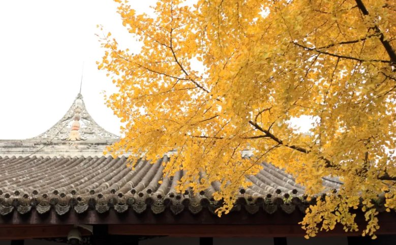 王维写银杏的诗有哪些?