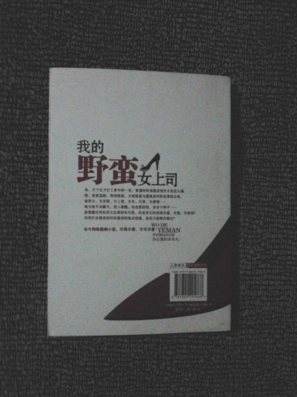 我的野蛮女上司：办公室的冰与火的内容简介