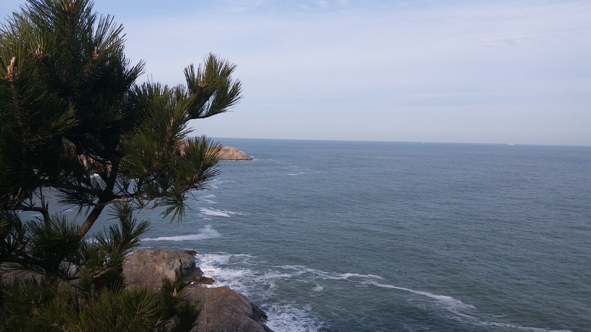 孝顺双亲是什么生肖？