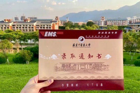 今年福建一本线是多少