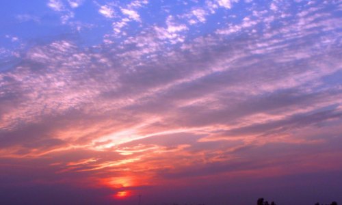 求解：天边晚霞映天红，绿柳随风夜雨后什么意思