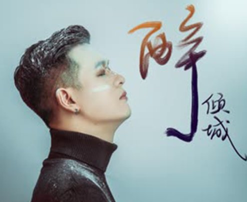 我沉沦几回因你倾城的美歌词