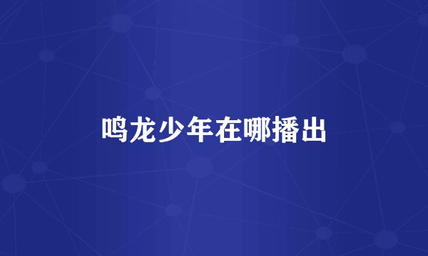 鸣龙少年在哪播出