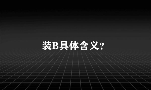 装B具体含义？