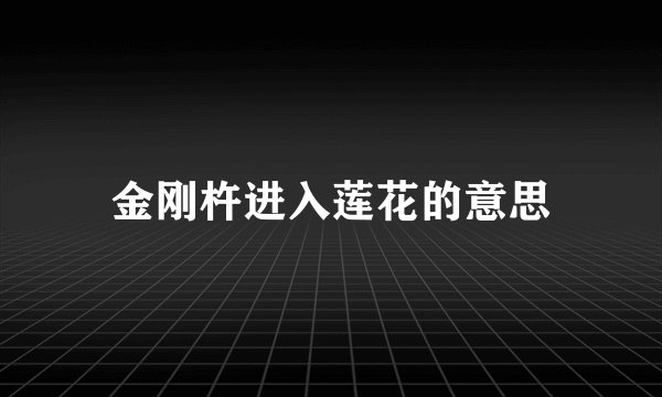 金刚杵进入莲花的意思
