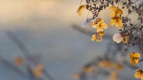 岁月静好是什么意思？