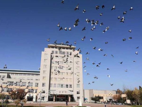 保定学院教务处