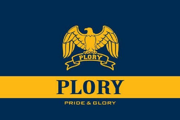 plory在国内什么档次