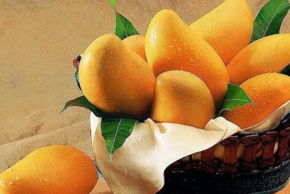 芒果一二三四区别2021