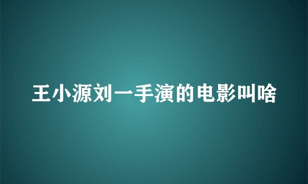 王小源刘一手演的电影叫啥