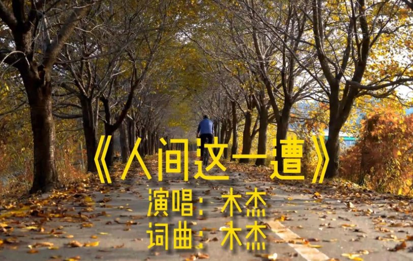 岁月无声的偷啊偷偷偷染白了少年头是什么歌