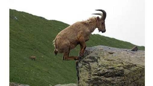 千钧一发的反义词？