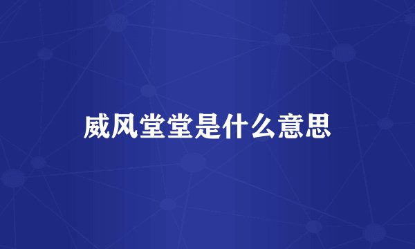 威风堂堂是什么意思