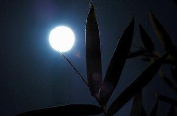 时光荏苒，岁月如梭是什么意思？