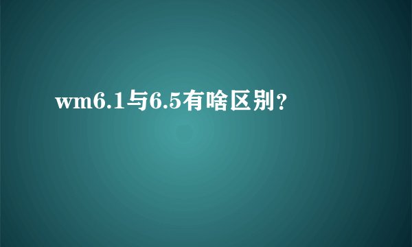 wm6.1与6.5有啥区别？