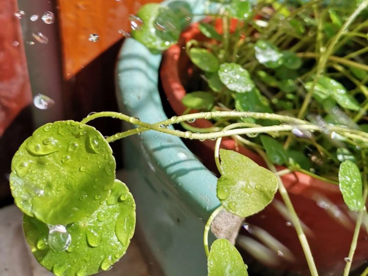 太阳雨是怎么形成的