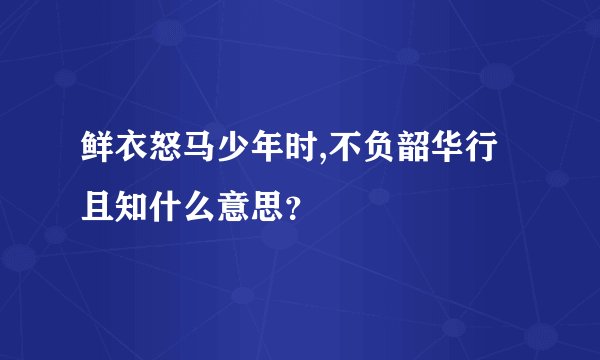 鲜衣怒马少年时,不负韶华行且知什么意思？
