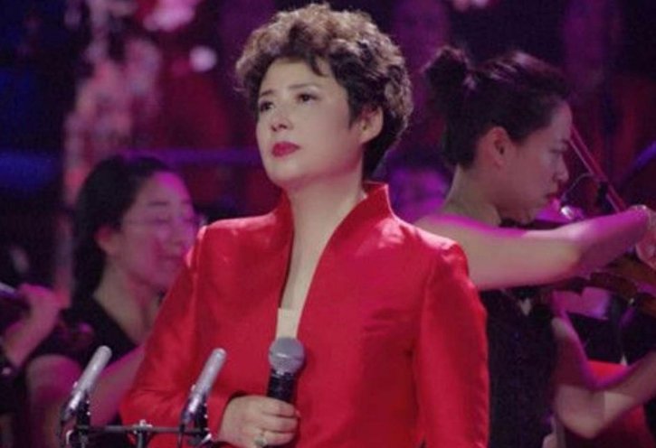 陈力原唱《葬花吟》歌词是什么？