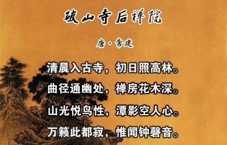 禅房花木深全诗意思