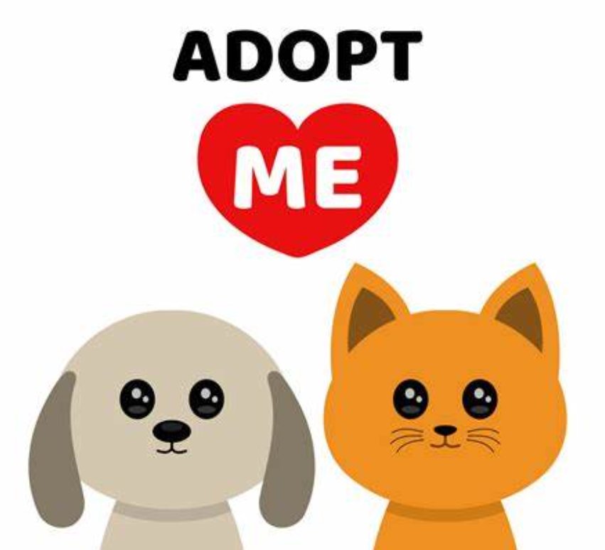 adopt的过去分词