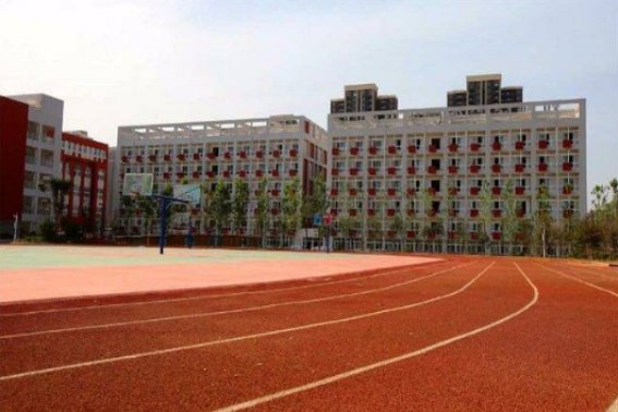 郑州外国语学校有哪些？