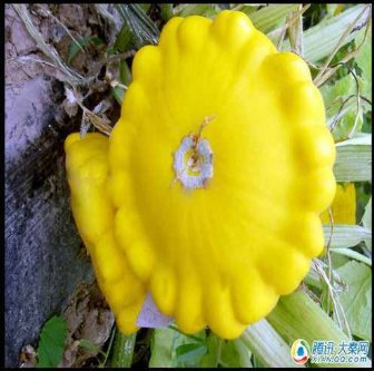 四点钟蘑菇醒了什么意思（男生早上起来蘑菇醒什么意思）