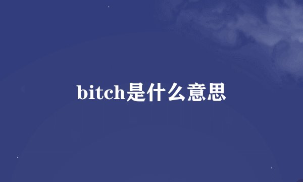 bitch是什么意思