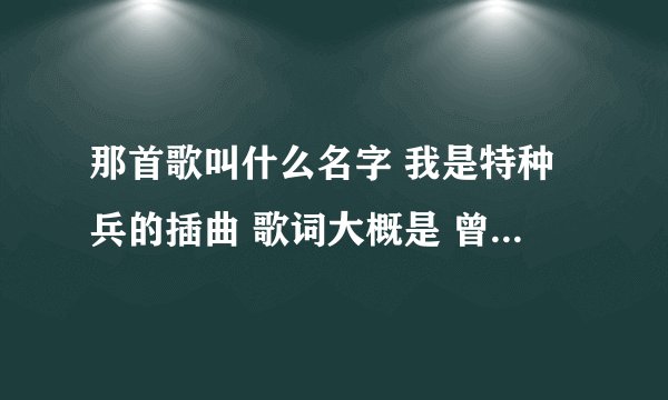 那首歌叫什么名字 我是特种兵的插曲 歌词大概是 曾经的浪漫让你我极度沉醉，春去花开重逢的日子