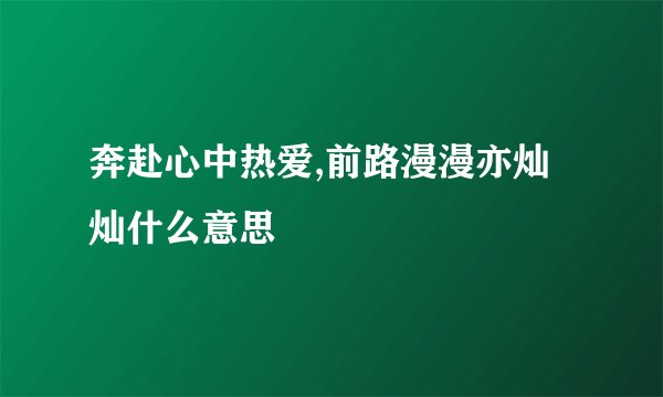 奔赴心中热爱,前路漫漫亦灿灿什么意思
