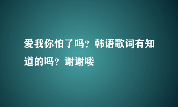 爱我你怕了吗？韩语歌词有知道的吗？谢谢喽