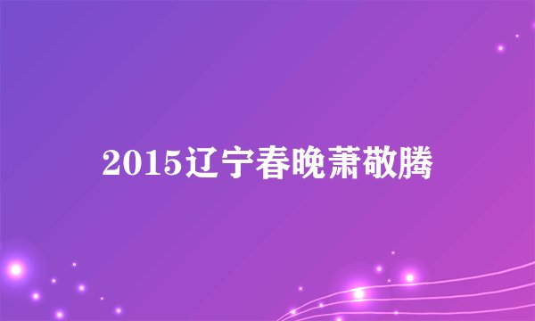 2015辽宁春晚萧敬腾
