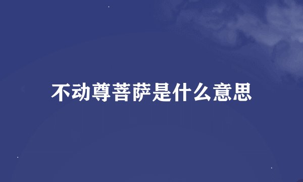 不动尊菩萨是什么意思