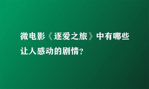 微电影《逐爱之旅》中有哪些让人感动的剧情？