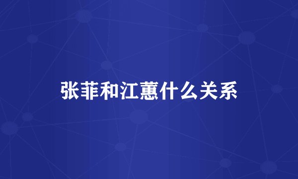 张菲和江蕙什么关系