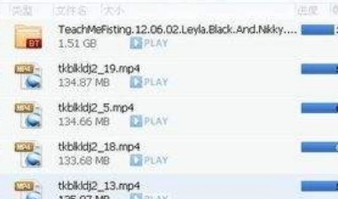 迅雷怎么下载bt文件