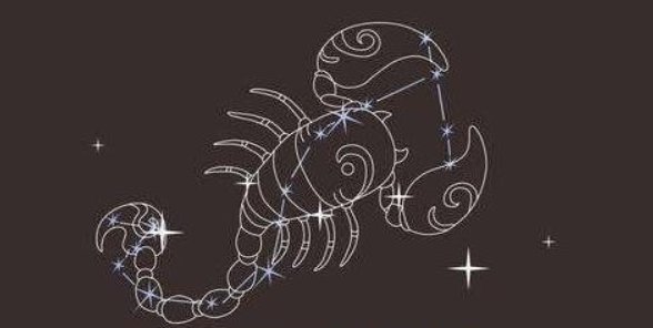 十一月八日是什么星座